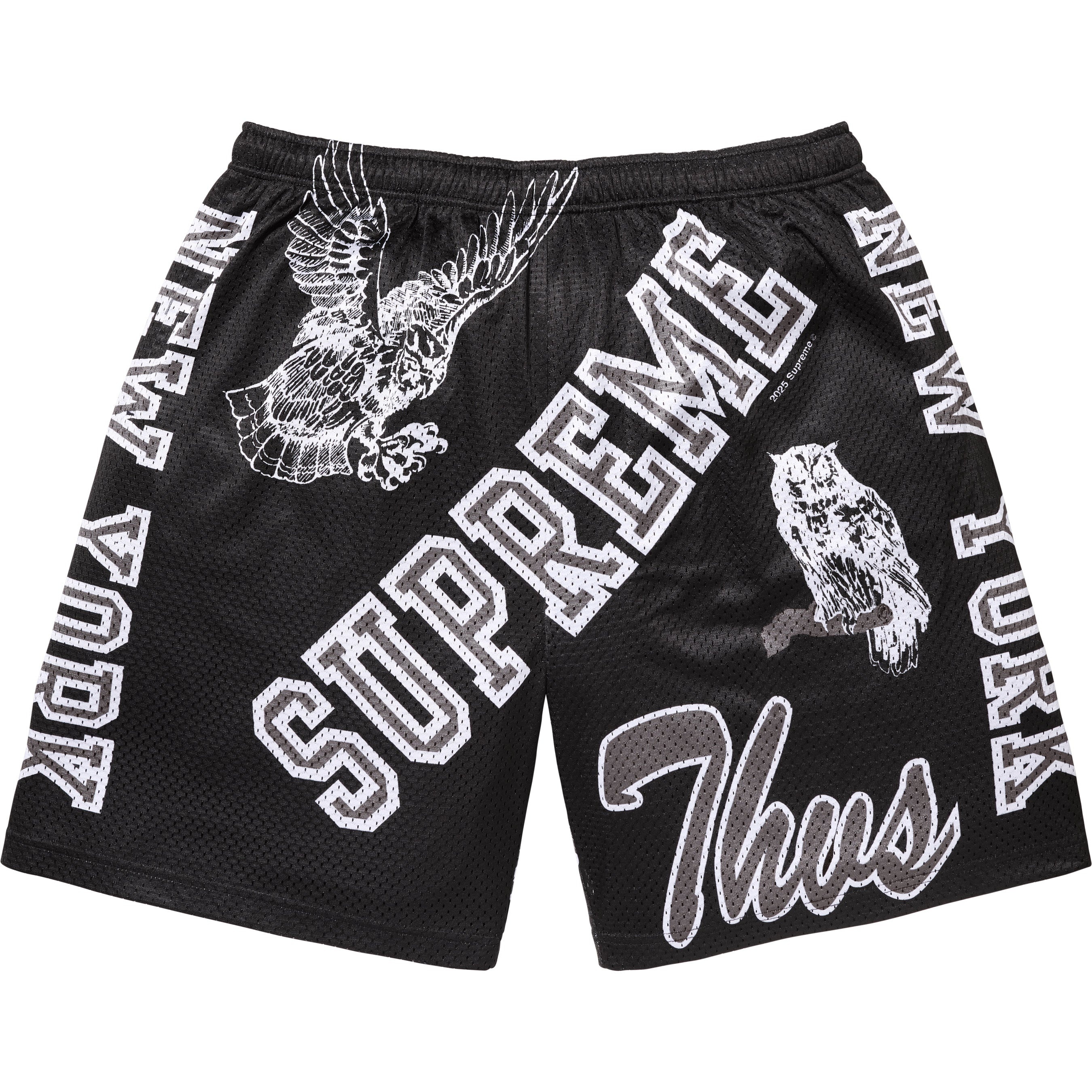 Varsity Mesh Short view 14